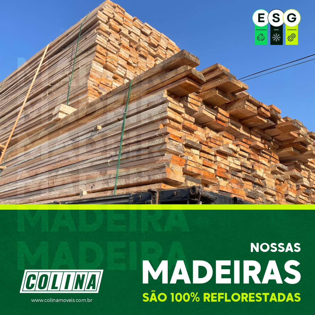 Nossas madeiras são 100% reflorestadas